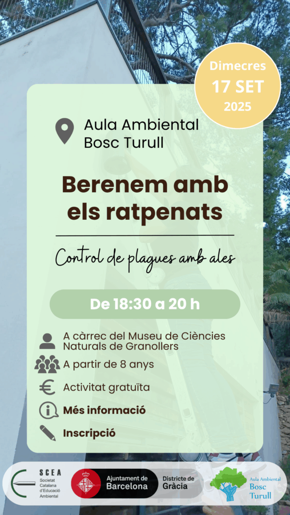 Cartell de l'activitat "Berenem amb els ratpenats" de la programació de tardor 2025 de l'Aula Ambiental Bosc Turull.