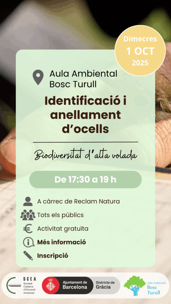 Cartell de l'activitat "Identificació i anellament d'ocells" de la programació de tardor 2025 de l'Aula Ambiental Bosc Turull.