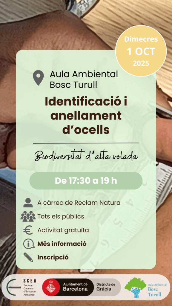 Cartell de l'activitat "Identificació i anellament d’ocells" de la programació de tardor 2025 de l'Aula Ambiental Bosc Turull.