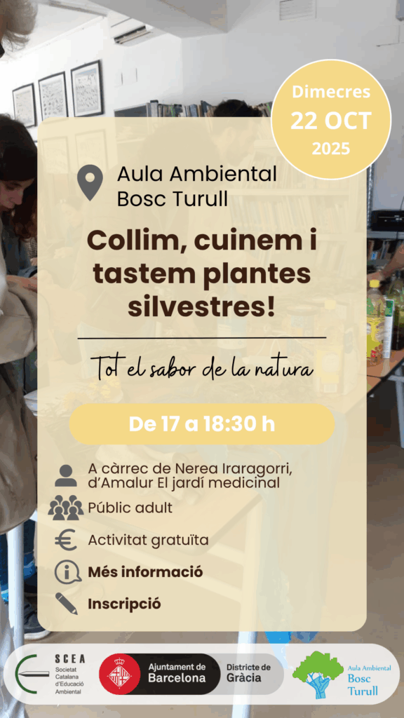 Cartell de l'activitat "Collim, cuinem i tastem plantes silvestres!" de la programació de tardor 2025 de l'Aula Ambiental Bosc Turull.