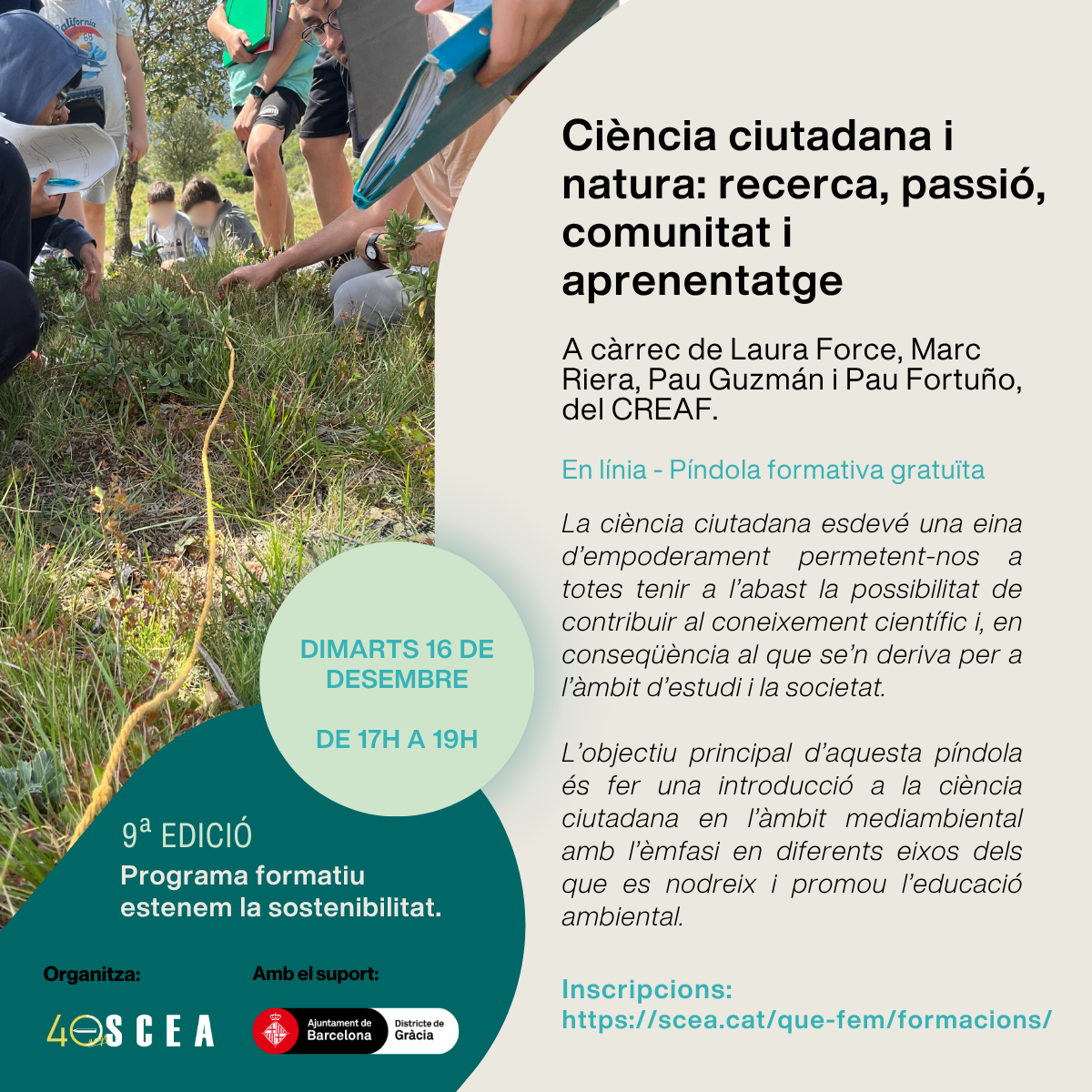 píndola2_estenem2025 (1)