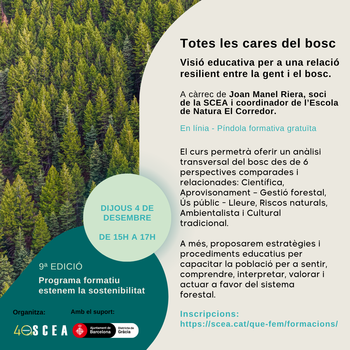 píndola1_estenem2025