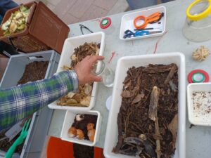 Ens trobem a la Verdinada