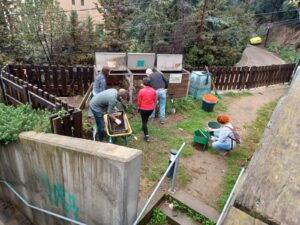 Voluntariat ambiental al Bosc Turull