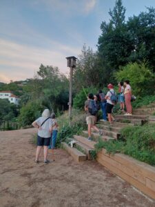 Revisió de l'hotel de ratpenats de l'Aula Ambiental Bosc Turull amb una càmera, tardor de 2025.