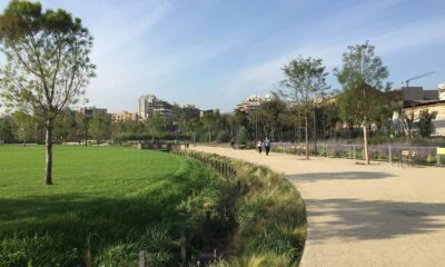 Imatge de la canòpia urbana de la Plaça de les Glòries, Barcelona.