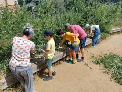 Imatge d'un grup de persones durant una jornada comunitària a l'Aula Ambiental Bosc Turull.