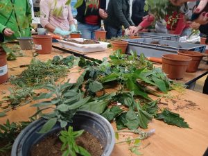 Taller d’esqueixos, programació tardor 2026 de l'Aula Ambiental Bosc Turull.