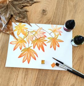 Aquarel·la i il·lustració botànica de tardor, programació tardor 2026 de l'Aula Ambiental Bosc Turull.